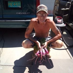 Meet your Posher, Casey